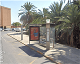 R17-019942 - (S3) EUCALIPTUS, 25 